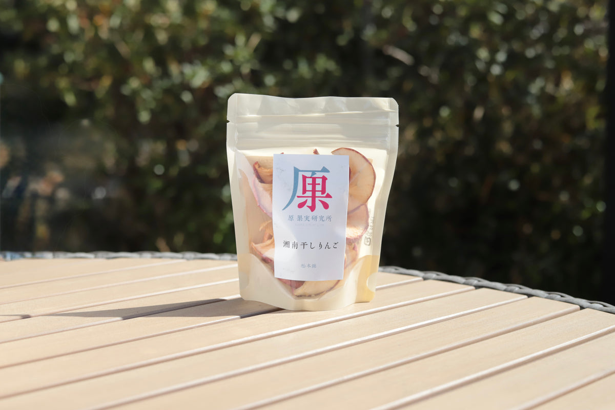 湘南 干しりんご(松本錦）