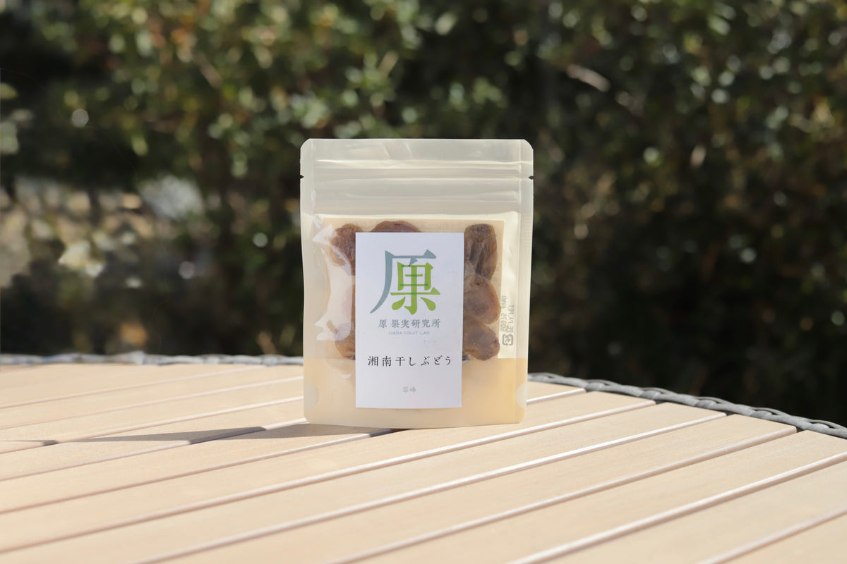 湘南 干しブドウ（翠峰）